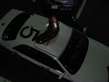 警察がやって来た～＼(◎o◎)／！