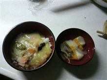 今日の晩御飯