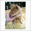 だいぶ慣れて来ました
