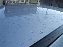 雨が　降ったんだ？？？？。
