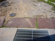 世にも奇妙な盗難