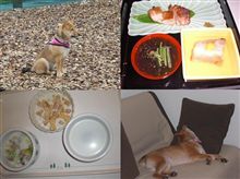 菅平高原のホテルに...② 菅平高原のホテルに...②