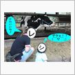 シュリ姫ご訪問♪　o(_ _ ...
