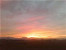 夕日が♪