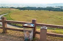 気になっていた場所に行く