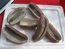 もう食べられてるし　秋の実り