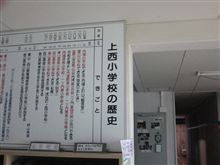 お前は草食動物か！？　( 一一)