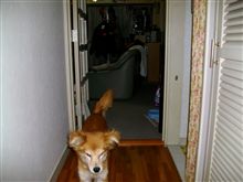 玄関開けたら・・