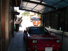 草刈と甲羅干し