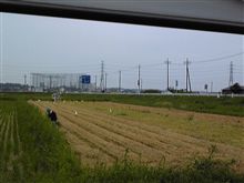 ２０日おぱやwww