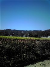 暇死しそう