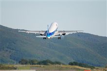 秋さらに増量中