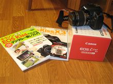 ついにデビューします！
