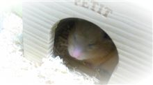 わっ、忘れていた･･･