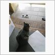 あっはっは