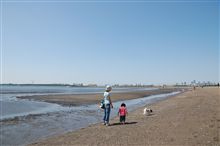 海へと。