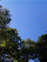 一日中