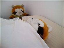 さぁて・・・そろそろ・・・・