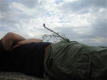 和歌山で生け花など…。