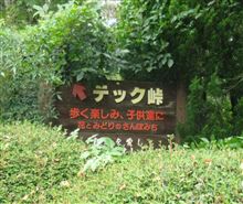 ちょっと峠を攻めてきたZE！