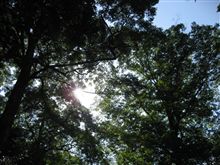 &#39;09子供と一緒にどこ行こう♪in瀬戸内