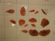 鬼退治の後は