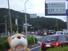 どこもかしこもこんな感じなんでしょうね