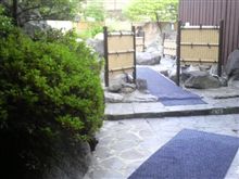 今日は…