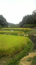 貢物（番外編）