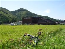 豊穣の秋ツーリングかな.....
