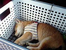 ぐっすり
