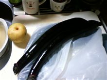 黒くて長いもの？