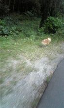 久々にもん様参上