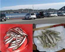 釣り