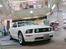 (&#180;Д｀)昔は「むすたんぐ」って読んでなかった？