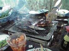 昼から秋刀魚に