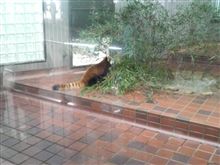 祝！初チェックランプ!!(笑)