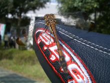 ８月の自転車走行距離やら、９月２２日のポタ記録やら。