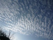 うろこ雲・・・清々しい朝に！