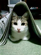 ありがとぉー(>▽<)v☆ ありがとぉー(>▽<)v☆