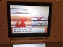 ジョートからカントーへ(^▽^)/