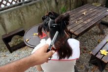 チョキチョキ