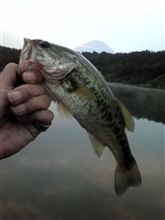 小バスがやっと・・・