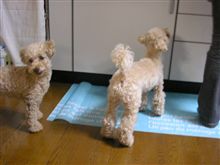 ゴハンはまだかなぁ～
