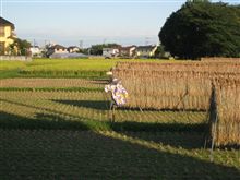 秋らしい風景