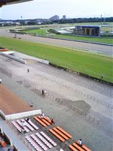 朝一番の中山競馬場です