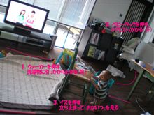 航平くんのお散歩コース