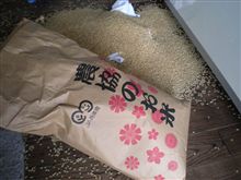 事件です