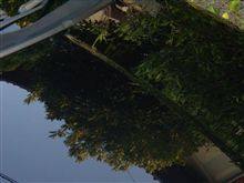 磨き