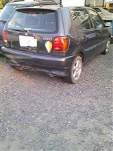 何かがポロりと出た？